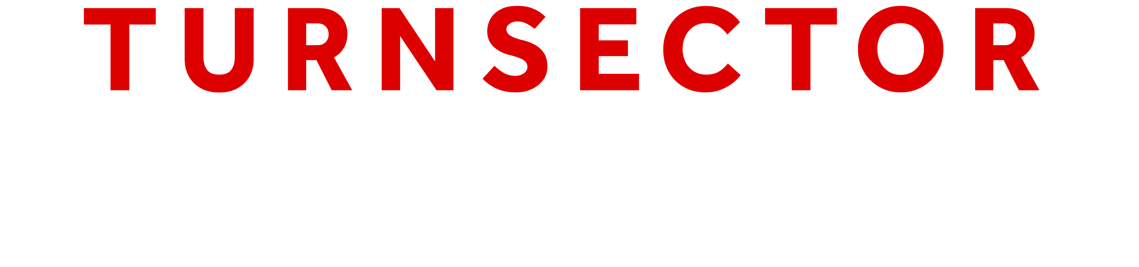 TurnSector Media
